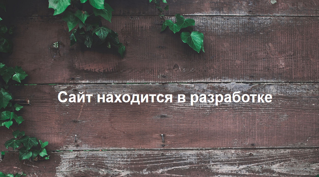 сайт находится в разработке